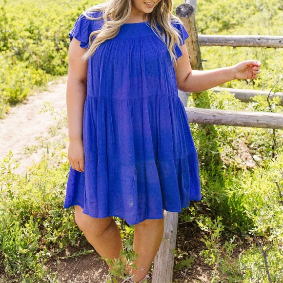 True Blue Swiss Dot Tiered Dress - Picture 9 of 13